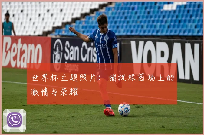 世界杯主题照片：捕捉绿茵场上的激情与荣耀