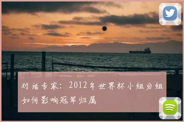 对话专家：2012年世界杯小组分组如何影响冠军归属
