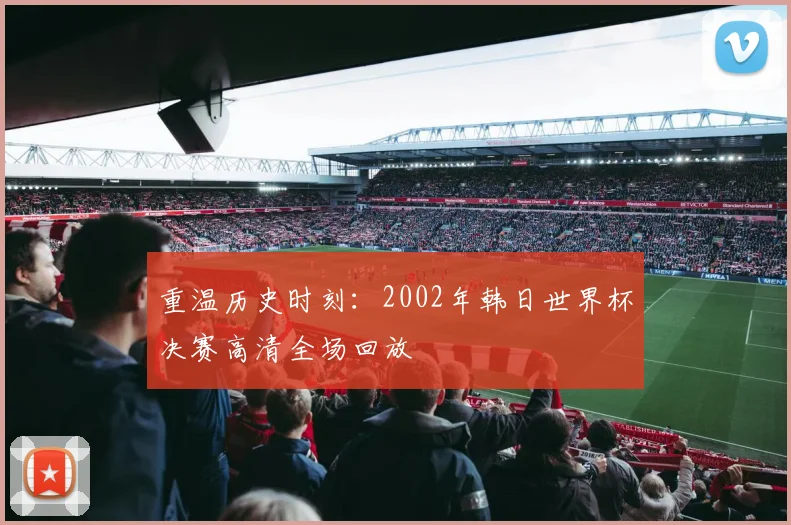 重温历史时刻：2002年韩日世界杯决赛高清全场回放