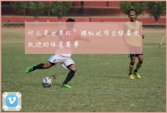 什么是世界杯？揭秘这项全球最受欢迎的体育赛事