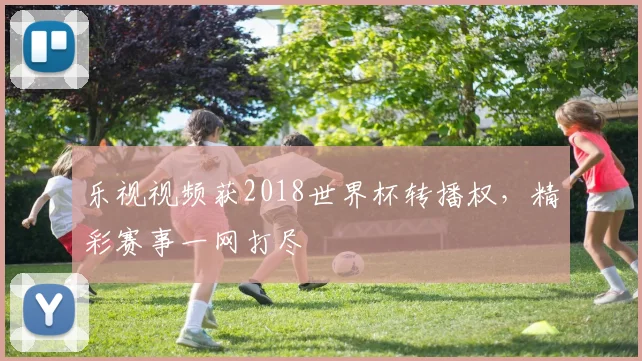 乐视视频获2018世界杯转播权，精彩赛事一网打尽