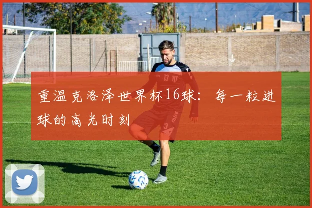 重温克洛泽世界杯16球：每一粒进球的高光时刻
